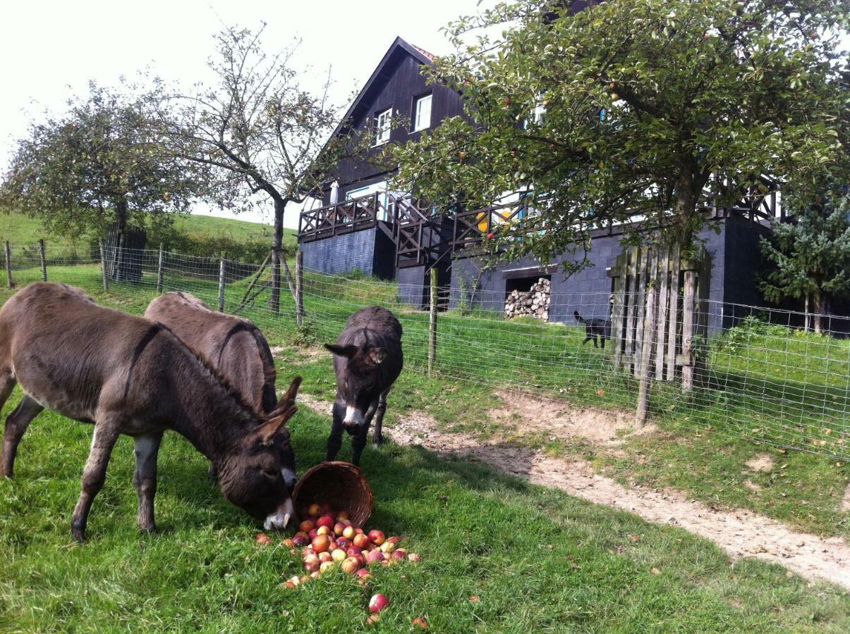 Wijlre Hoeve Schoonzicht מראה חיצוני תמונה